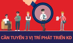 Vật Tư Holaa